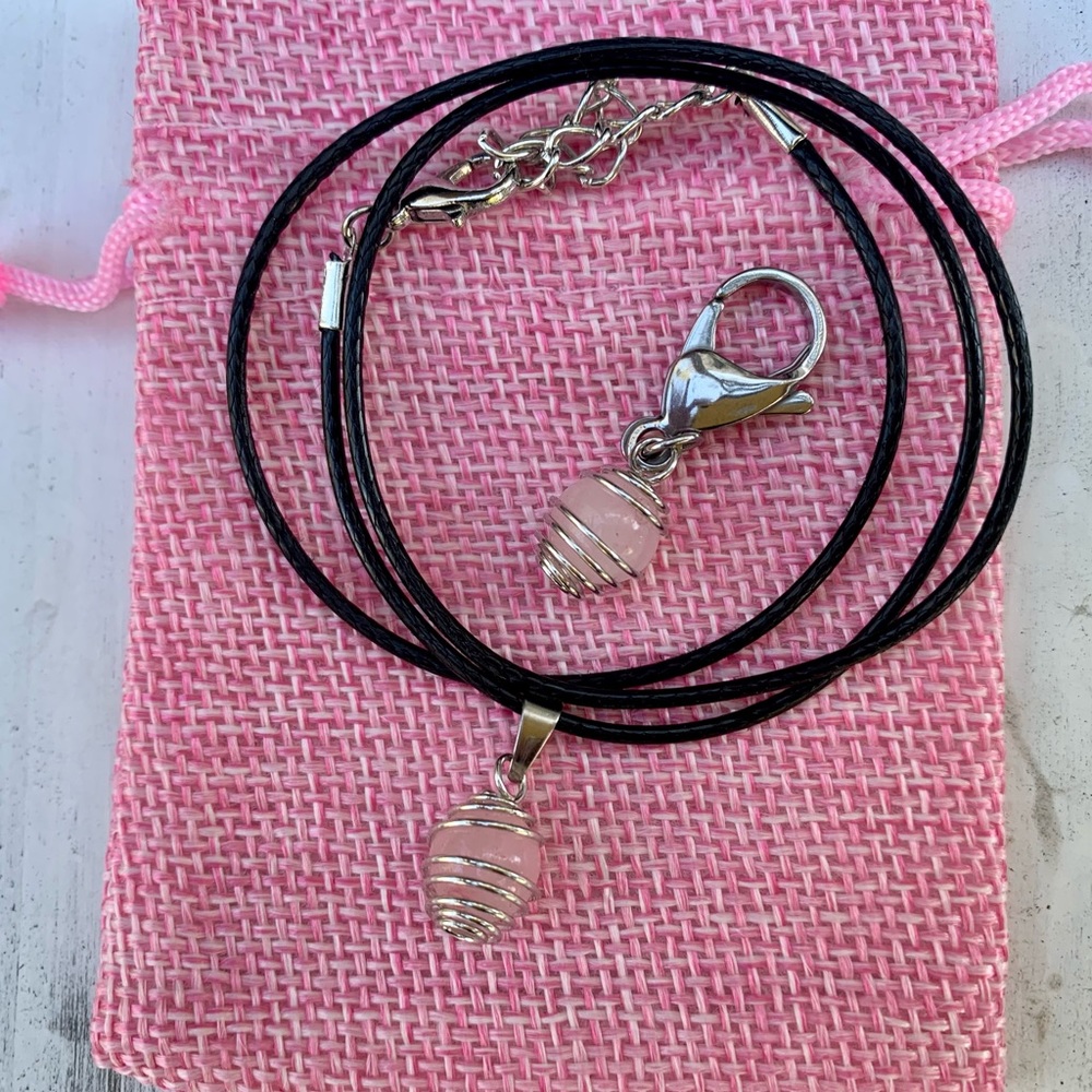 Crystal Pet Charm and Pet Owners Matching Set